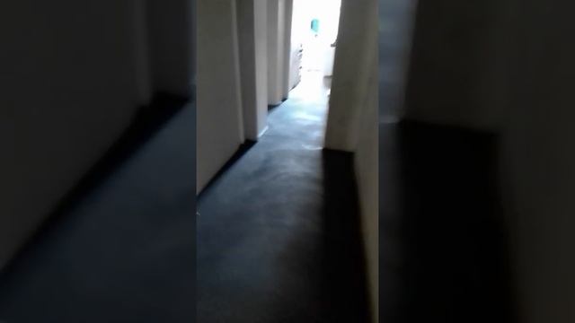 укрытие полусухой стяжки пэ пленкой (лето жара) смотреть онлайн