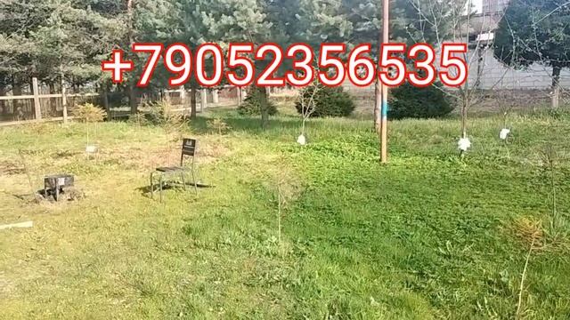 Санкт-Петербург-Ургенч смотреть онлайн