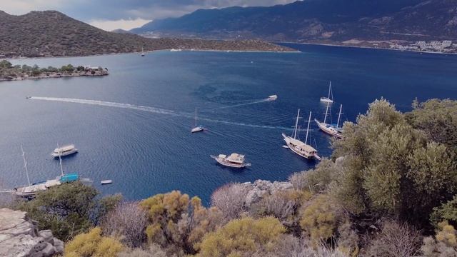 Расставание и путешествие в Каш, коты, собаки, шляпа и очки