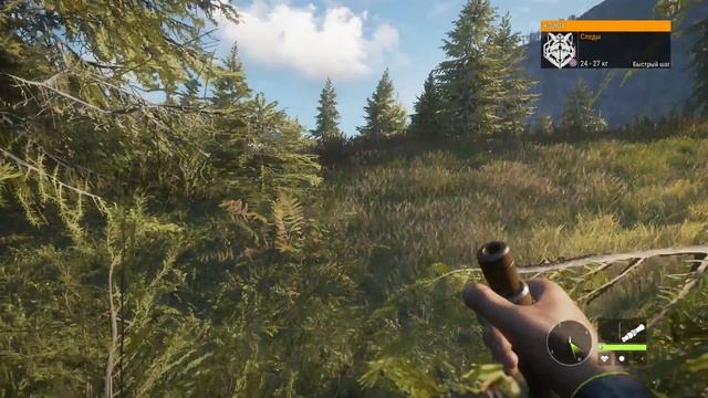 Охота на койота в theHunter Call of the Wild смотреть онлайн