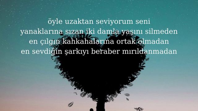 Şiir Karaoke Cemal Süreya Uzaktan Seviyorum Seni смотреть онлайн