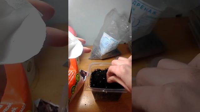 Пеларгония Маверик бело-розовая посев семенами смотреть онлайн