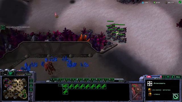 Starcraft 2 тренируем дисциплину Ladder (ML 2) (BIO) смотреть онлайн
