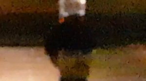 GEORGIAN DANCE - "SHALAXO" | ГРУЗИНСКИЙ ТАНЕЦ - ШАЛАХО | შალახო :)