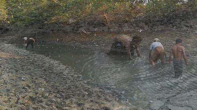 Myanmar. Ngapali. Locals Go Fishing. Мьянма. Нгапали. Местные жители ловят рыбу.