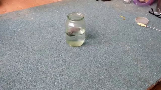 Состаривание доски - уксус и стальная вата смотреть онлайн