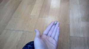 Как размочить корм собаке?