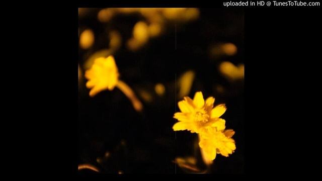 макулатура - Мокрый снег смотреть онлайн