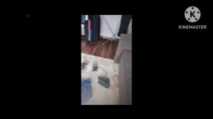 Rate my fit meme пародия