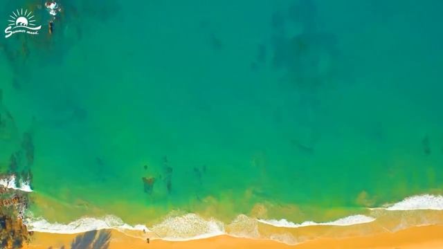 Marshmello, Avicii, Coldplay, Martin Garrix & Kygo, The Chainsmokers Style - Summer Vibes #40