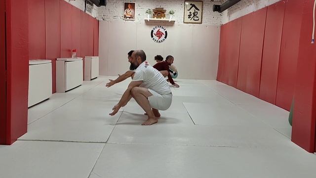 Тренировка Animal Flow с акцентом на движение Front kickthrough, flow level 1 смотреть онлайн