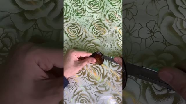 Разоблачение лайфхака с устрицей смотреть онлайн