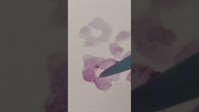 очень красивые цветы) #акварель #цветы #природа #рисование #watercolorart #drawing #flowers смотреть онлайн