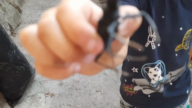 ОГРОМНЫЙ ЖУК|ЖУК-СТРИГУН|ВОЛОСОГРЫЗКА|БОГОМОЛ смотреть онлайн