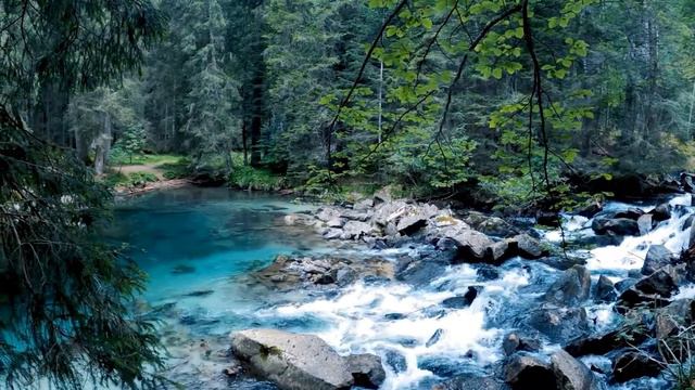 Красивый лес. Успокаивающие звуки реки. смотреть онлайн