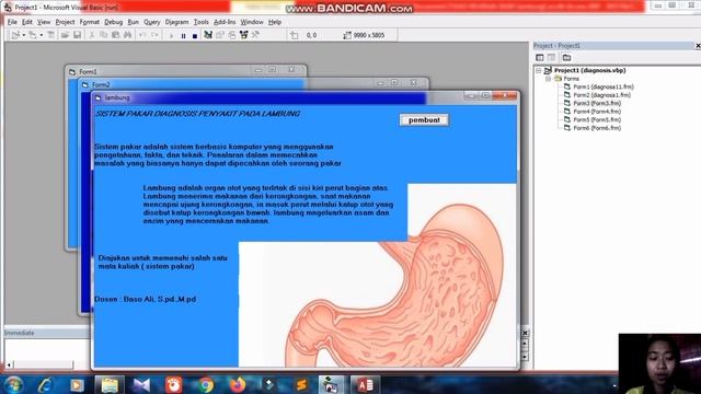aplikasi sistem pakar diagnosa penyakit pada lambung смотреть онлайн