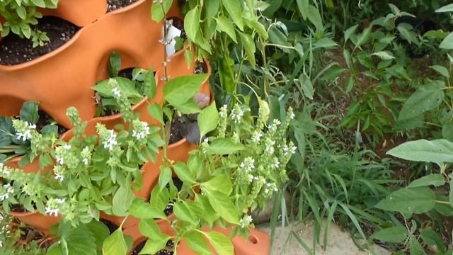 Update and FAQ on my Garden Tower 2 Review смотреть онлайн