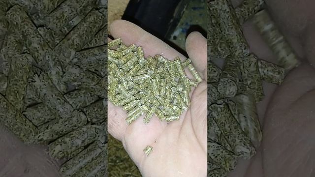 Гранула для кроликов! Делаю на грануляторе гкм 100 , 1,5 кВт 220в. Состав будет в следующем видео. смотреть онлайн