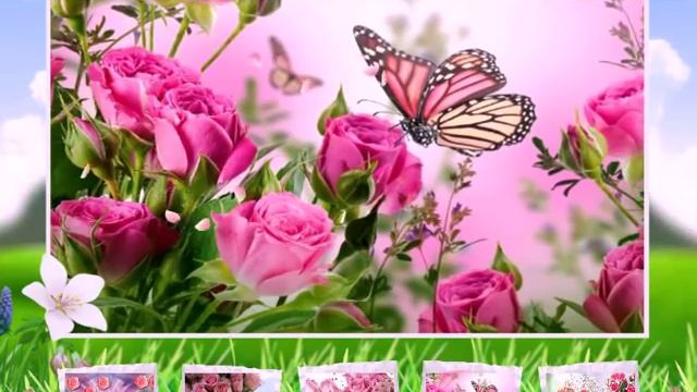 С днем рождения, сестренка! смотреть онлайн