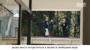 Творческая резиденция  Переделкино: есть место, где можно теперь жить и творить