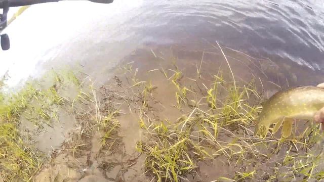 Ловля весенней щуки на джеркбейты skela смотреть онлайн