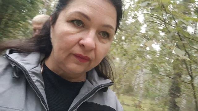 В лес за грибами! ПОДБЕРЕЗОВИКИ ПОДОСИНОВИКИ. ПОДопята.. Забежали на полчаса... смотреть онлайн