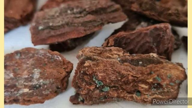 Проблемы в горшках у орхидей смотреть онлайн