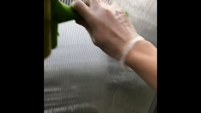 Мойка теплицы. смотреть онлайн
