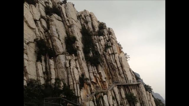 Фотографии с тренировочного сбора Шаолинь 2013 смотреть онлайн