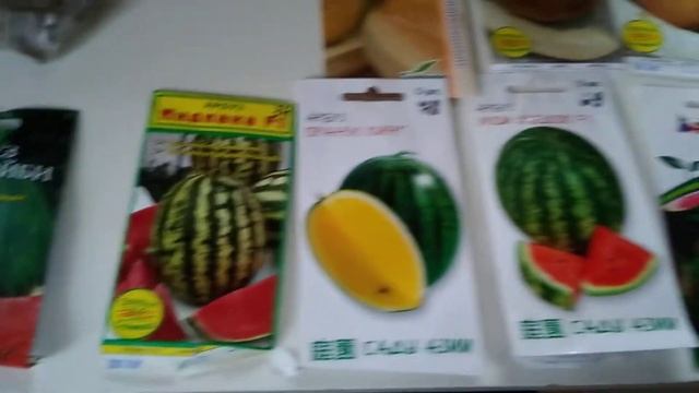 Когда посеять #АРБУЗЫ и #ДЫНИ на рассаду в средней полосе. Арбузы в #ОТКРЫТОМ ГРУНТЕ в #Башкирии ч. смотреть онлайн