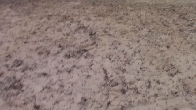 Парк-отель "Воздвиженское". Ч. 2. Территория, полдник, ужин. смотреть онлайн