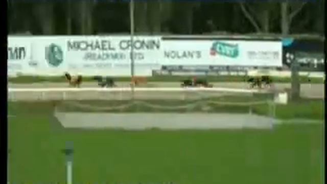 IGB - Kingdom Greyhound Stadium 28/07/2019 Race 1 - Tralee смотреть онлайн