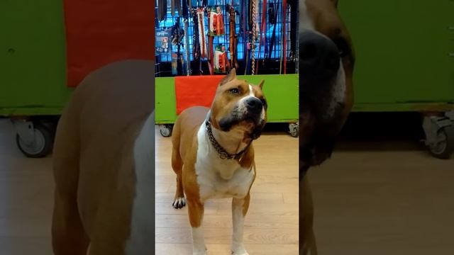 Working on a head tilt смотреть онлайн