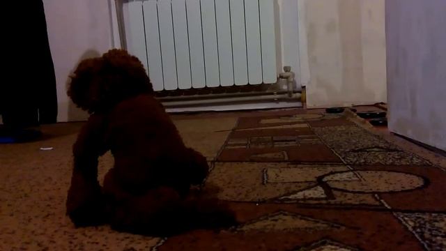 Замедленная сьемка смотреть онлайн