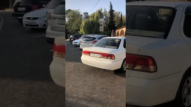 Кафе и гостевой дом Якорная Щель смотреть онлайн