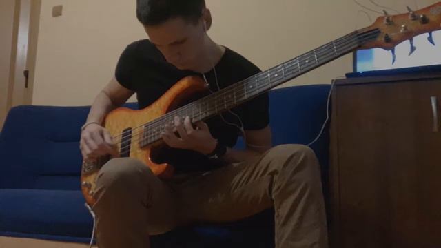 Rammstein - Seemann ( Bass Cover )