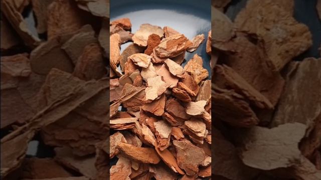 Добавки в грунт для комнатных растений 🌱 смотреть онлайн