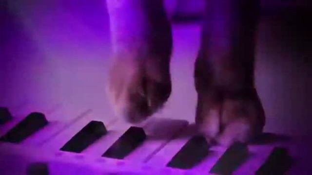 Отпразднуй в Party Time