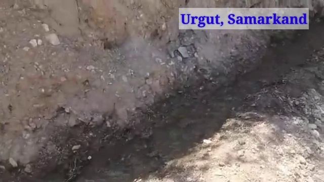 Как исползуют ишака на горах Ургута? #Urgut #Samarkand #Uzbekistan #Узбекистан #Ургут #Самарканд