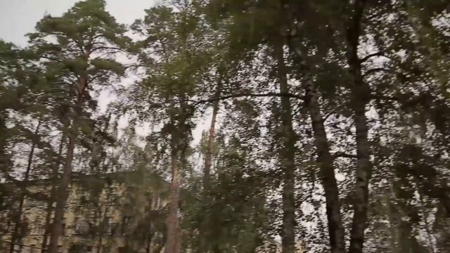 Подарок жене на выписку смотреть онлайн