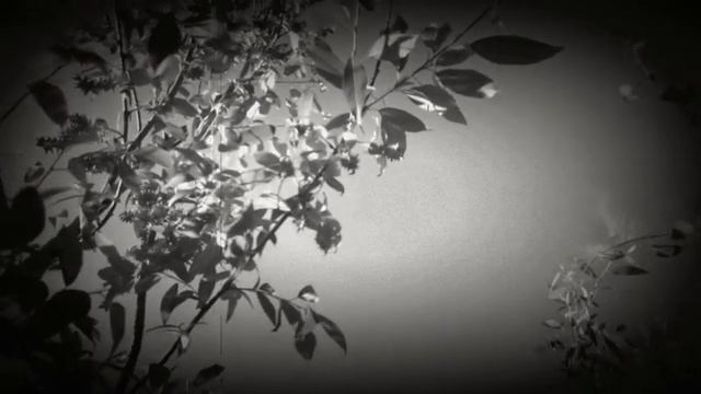 Старуха Мха - Тая в тумане смотреть онлайн