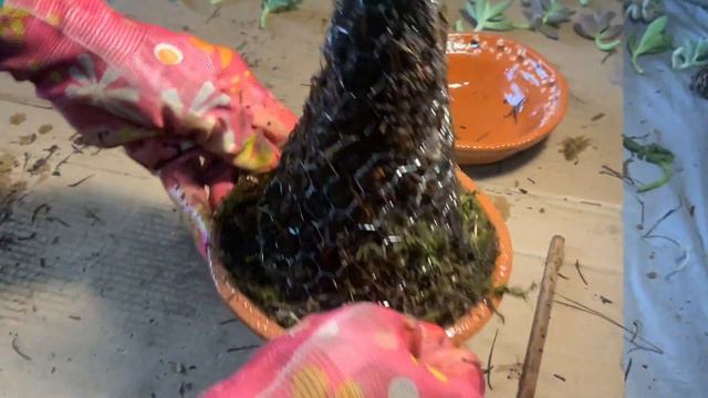 DIY - Paso a paso elabora un ARBOLITO NAVIDEÑO🎄 con SUCULENTAS #arboldenavidad #DIY #centrodemesa смотреть онлайн