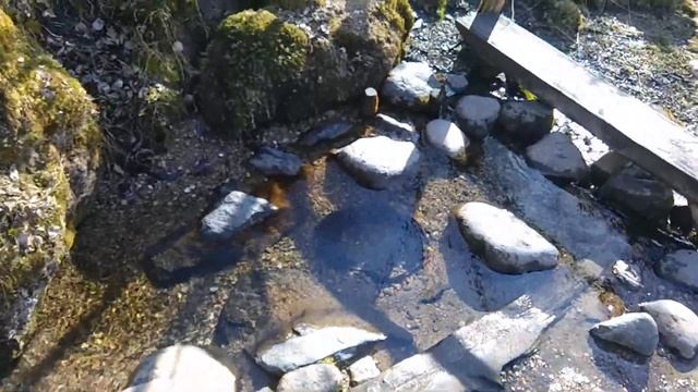 Источник, Новогрудский район. смотреть онлайн