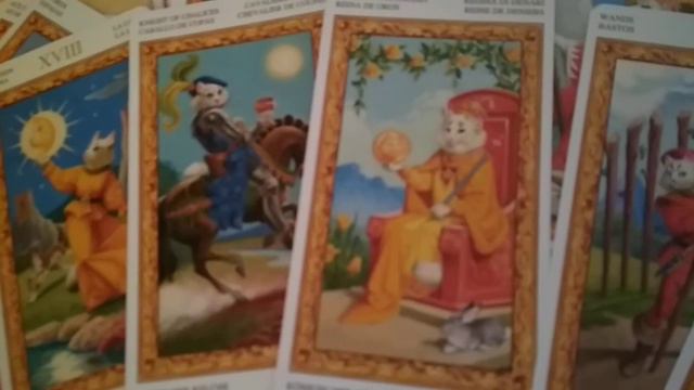 Колода ТАРО Белых Кошек ч.6 смотреть онлайн