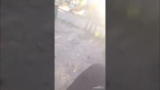 Элитные фразы Паши смотреть онлайн