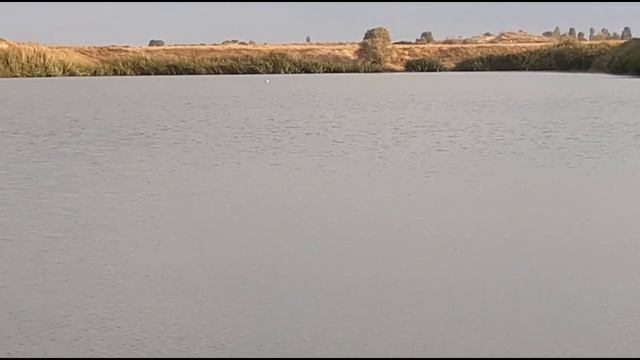 ЗАМЕР БАТАРЕЙКИ 12 ВОЛЬТОВОЙ (На карповом кораблике для рыбалки ) 2021 г. смотреть онлайн