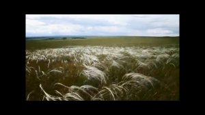 🐺 Ислам Идигов 🐺 Тоска по Казахстану (кавер-версия) 🐺