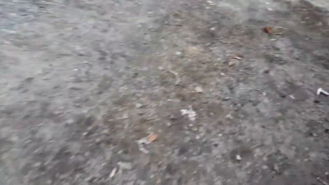 Приятный выхлоп на Калину получилось не плохо #выхлопstinger #прямоток #калина смотреть онлайн