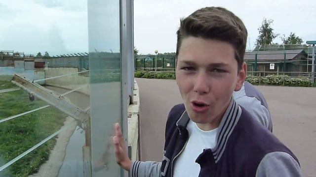 Выпускной! Царь зверей)0)) Часть 2 смотреть онлайн