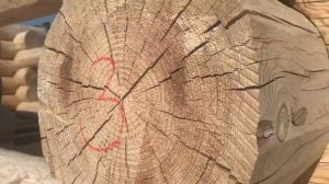 Дом из рубленного бревна 40 диаметра Воронеж, Снегири. Компания Купи Сруб